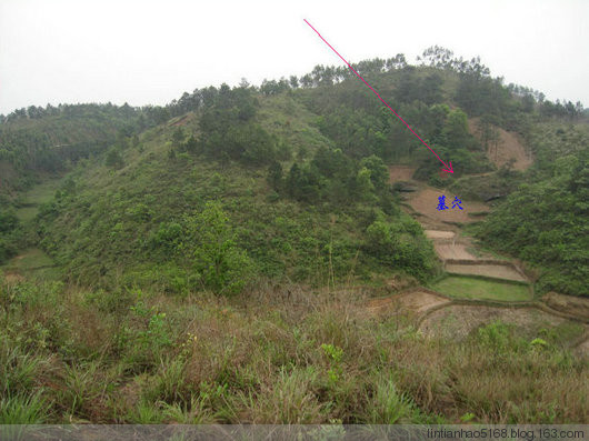 山东风水墓地、阴宅风水实例图解(八) - 德财兼